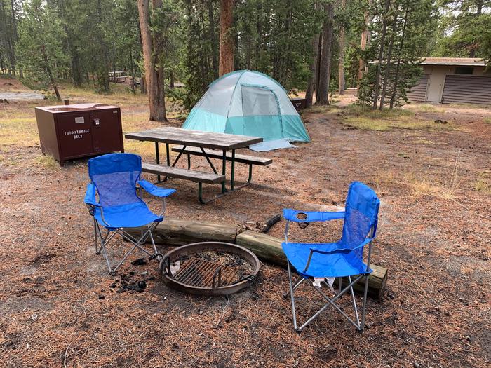 Norris Campground site 30