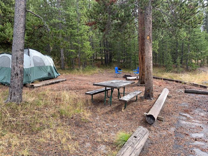 Site Norris Site #31, Norris Campground - Recreation.gov