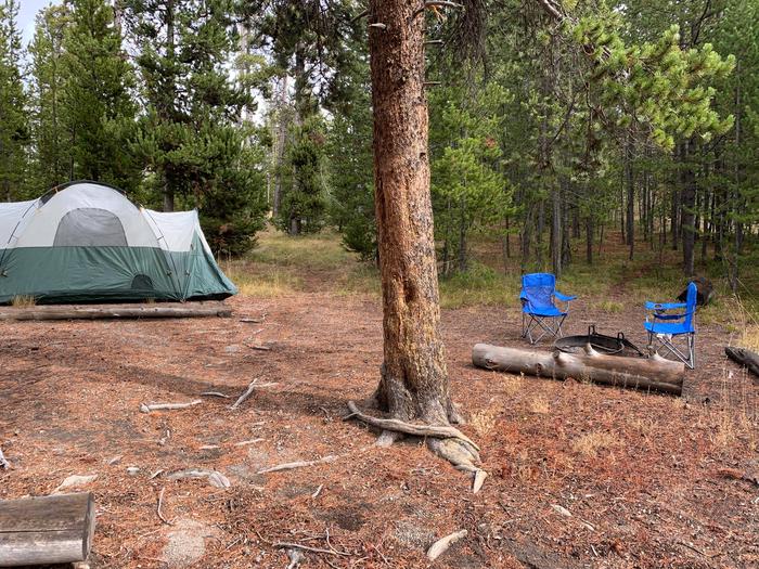 Site Norris Site #31, Norris Campground - Recreation.gov