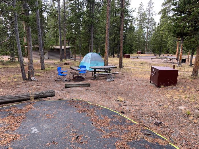 Norris Campground site 32