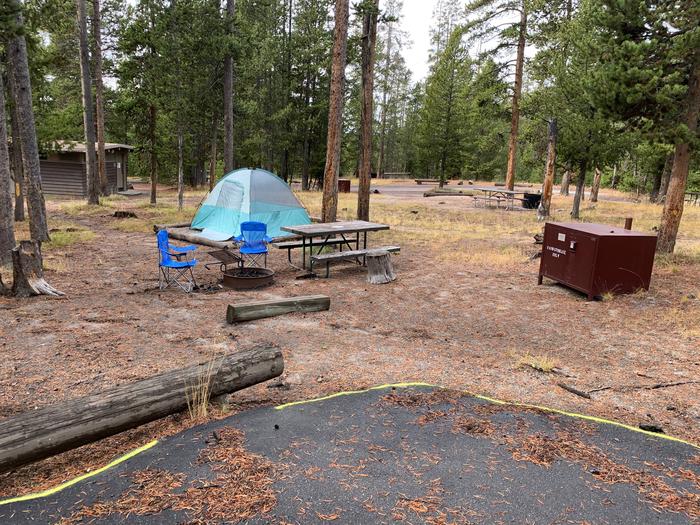 Norris Campground site 32