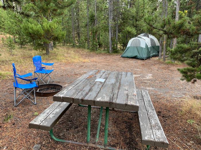 Norris Campground site 33.Norris Campground site 33