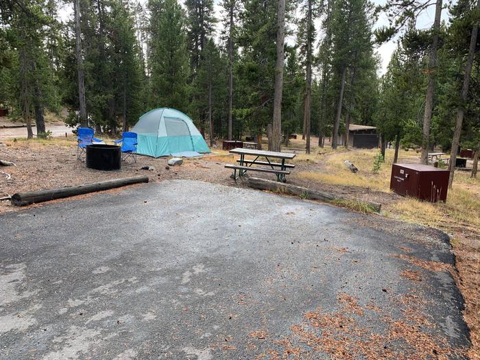 Norris Campground site 34