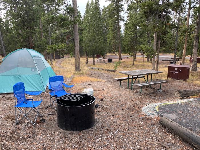 Norris Campground site 34.Norris Campground site 34