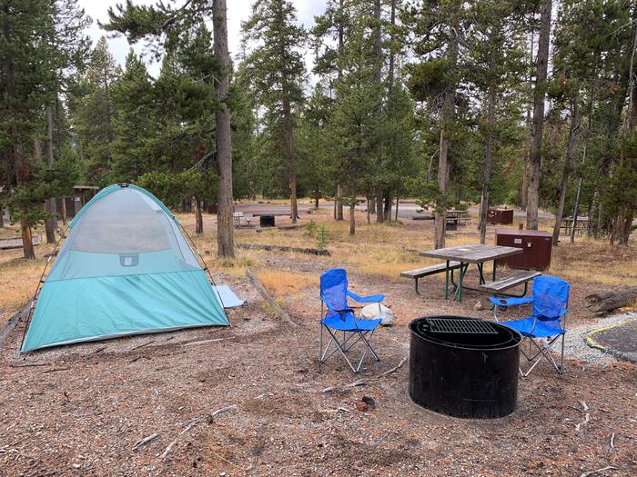 Norris Campground site 34