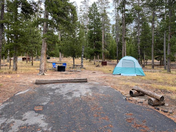 Norris Campground site 40.Norris Campground site 40