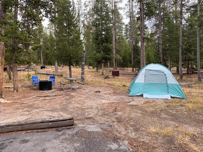 Norris Campground site 40