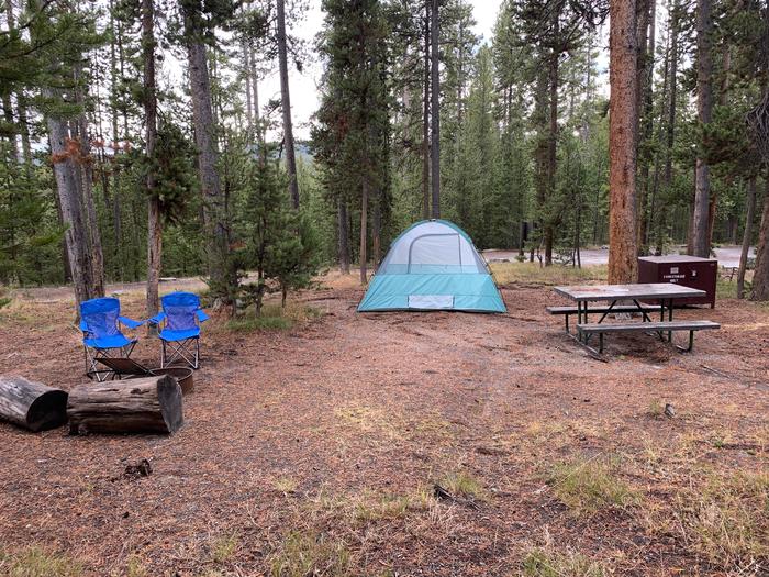 Norris Campground site 48