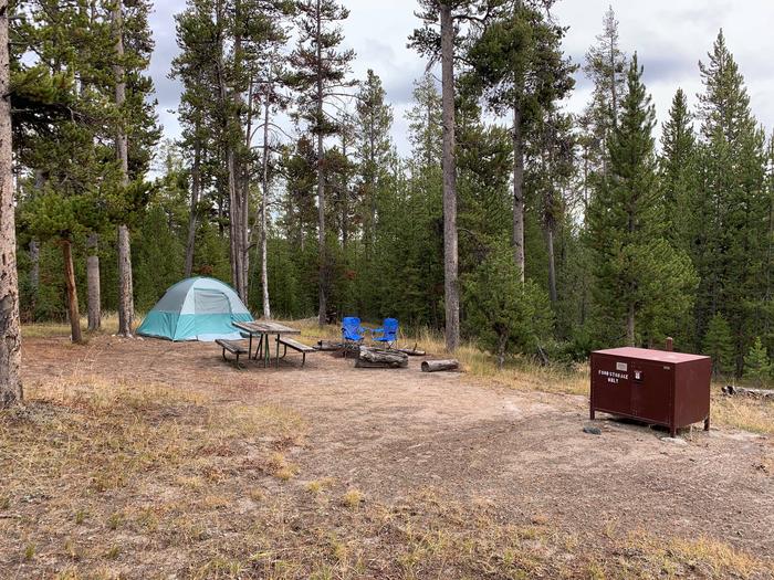 Norris Campground site 54.Norris Campground site 54