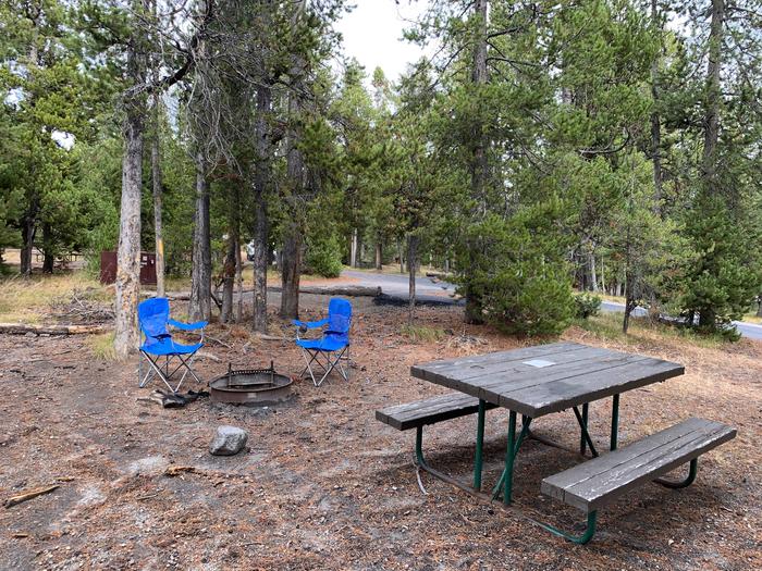 Norris Campground site 55