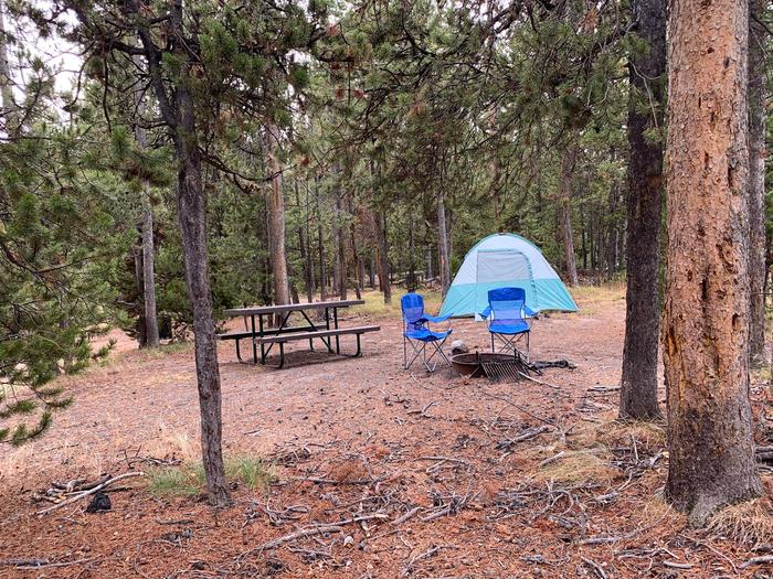 Norris Campground site 55