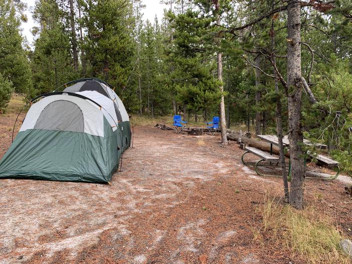 Norris Campground site 56.Norris Campground site 56