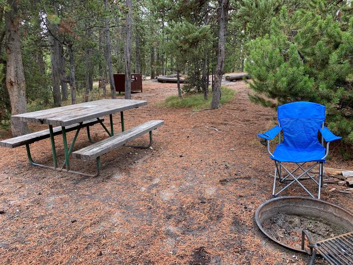 Norris Campground site 58