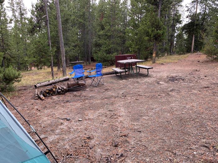 Norris Campground site 59