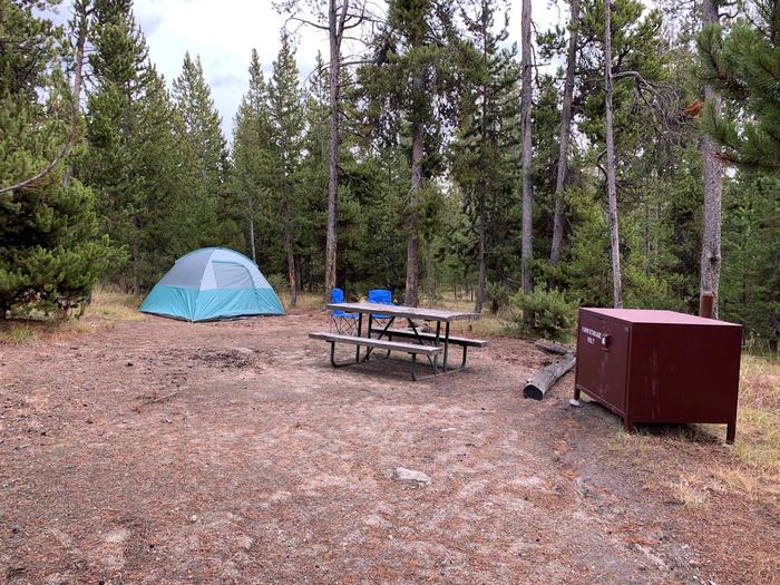 Norris Campground site 59.Norris Campground site 59