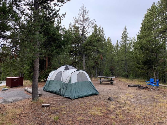 Norris Campground site 61