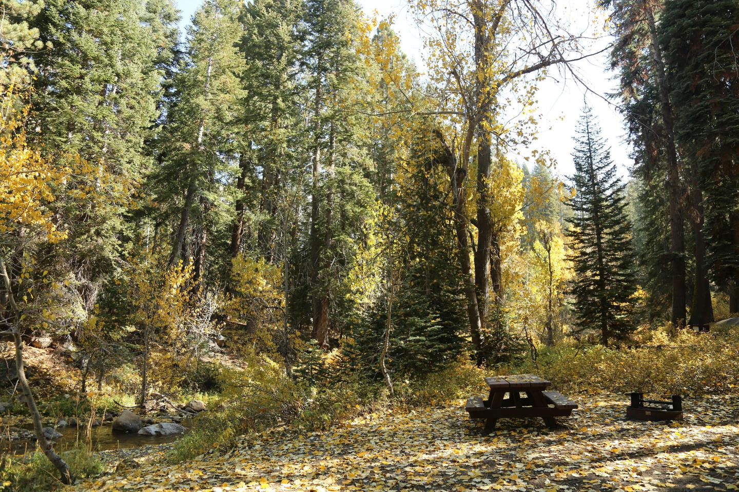 Preview photo of Cold Springs Campground (CA)