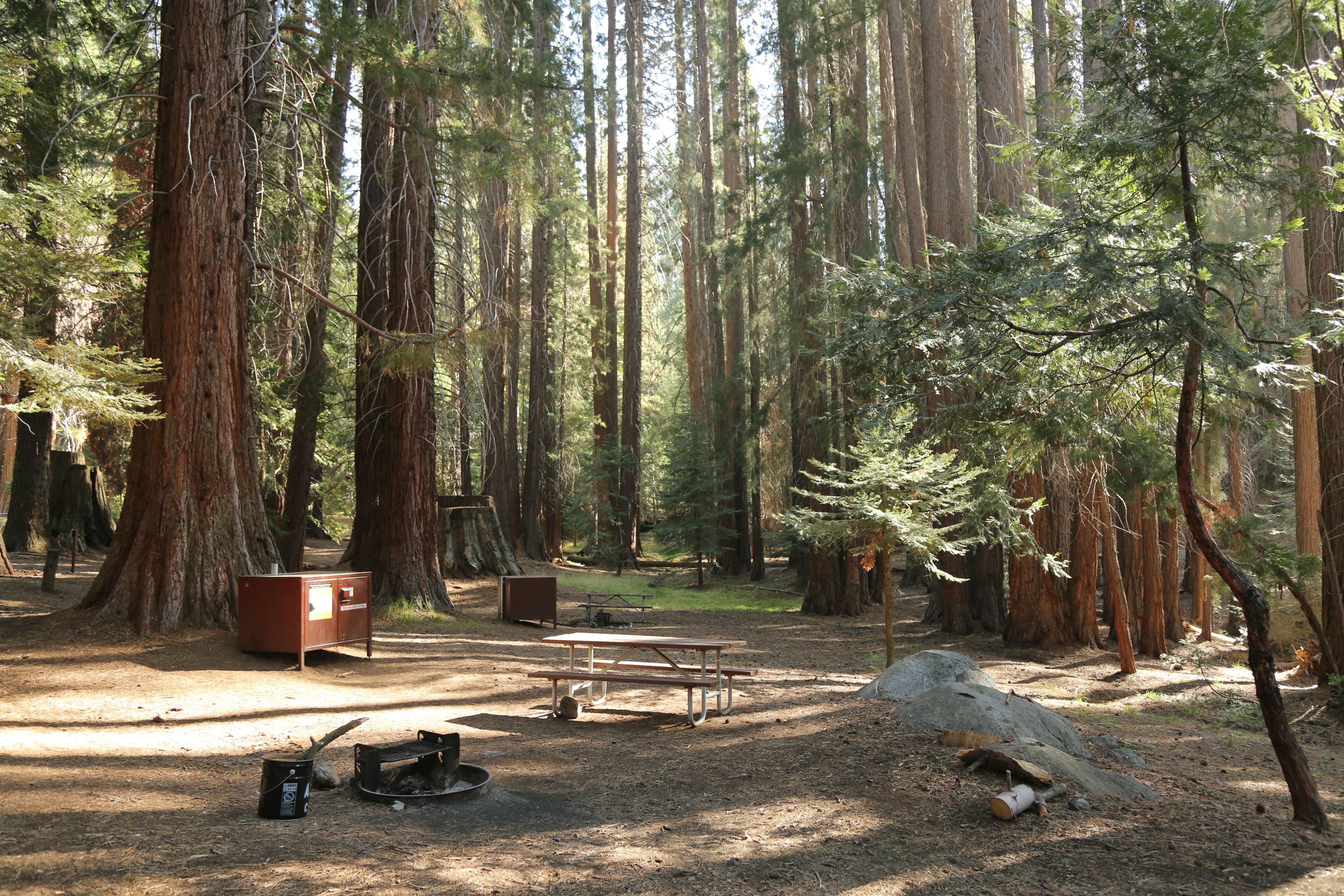 Atwell Mill Campground