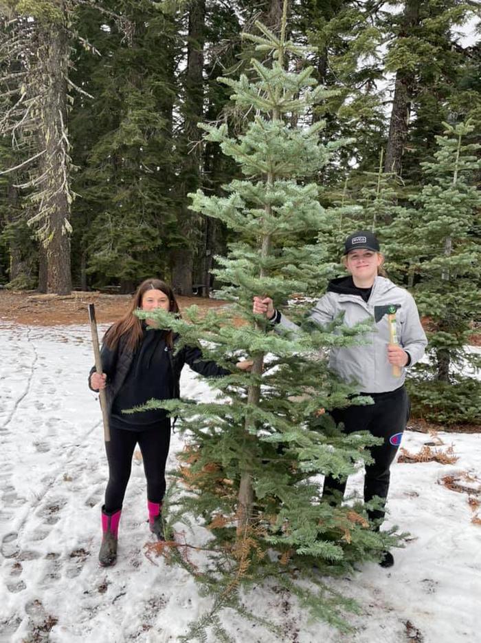 South Fork Mountain Christmas Trees on the Six Rivers National ForestChristmas tree hunting on the Six Rivers is a family thing!