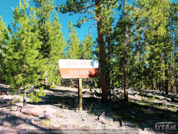 Preview photo of Deadhorse Trailhead Campground