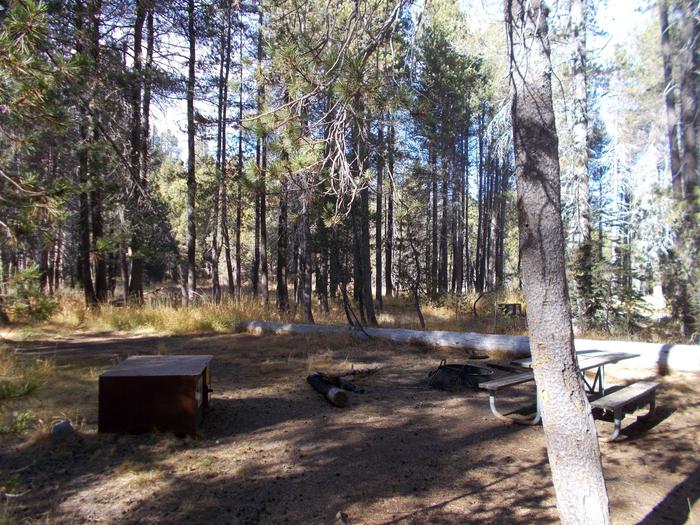 Food locker, picnic table, and fire ringSite 3