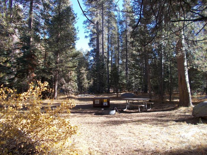 Food locker, picnic table, and fire ringSite 4