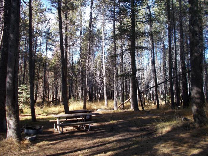 Food locker, picnic table, and fire ringSite 9