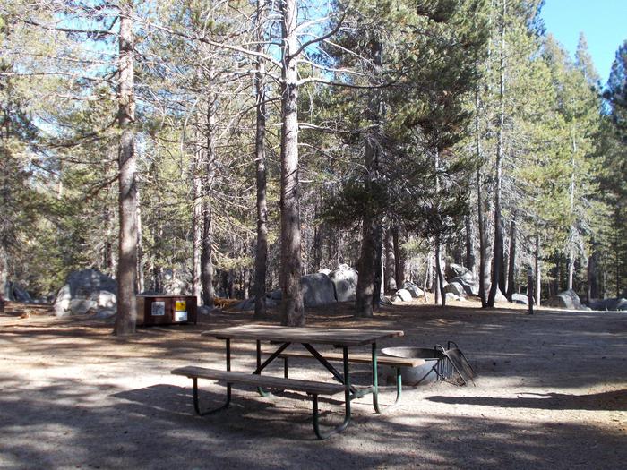 Food locker, picnic table, and fire ringSite 26