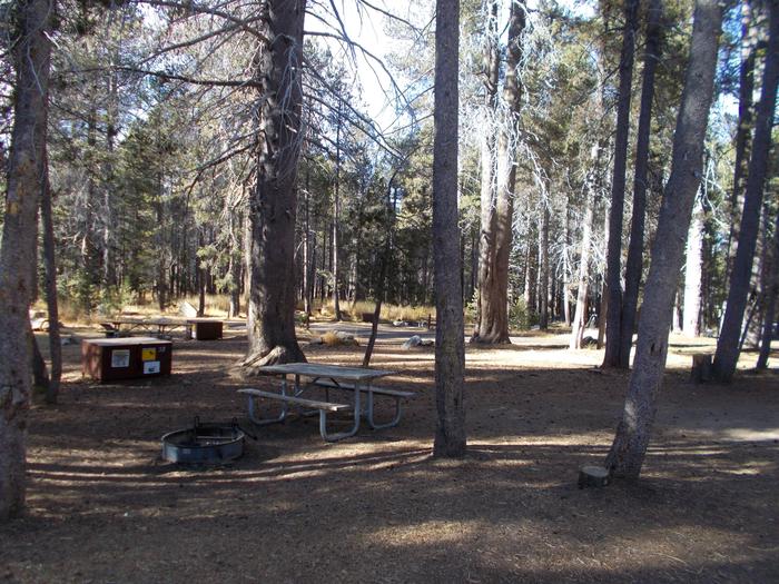 Food locker, picnic table, and fire ringSite 32