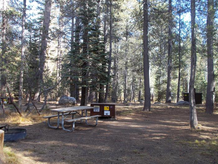 Food locker, picnic table, and fire ringSite 36