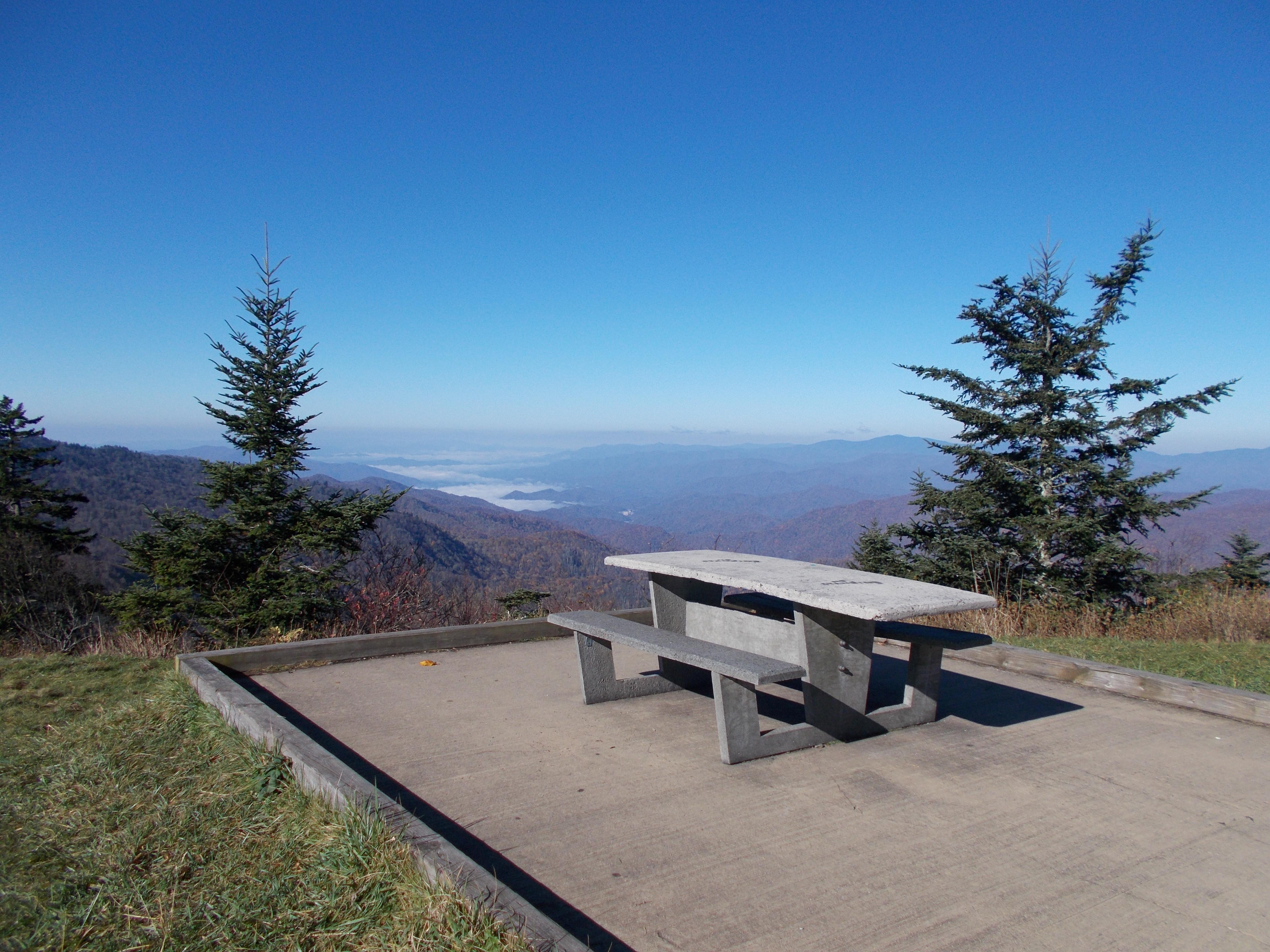 Shining Rock Wilderness Camp — Pisgah National Forest, Waynesville NC dispersed campsite
