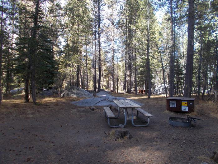 Food locker, picnic table, and fire ringSite 38