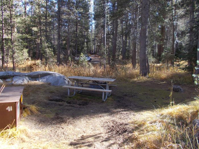 Food locker, picnic table, and fire ringSite 41