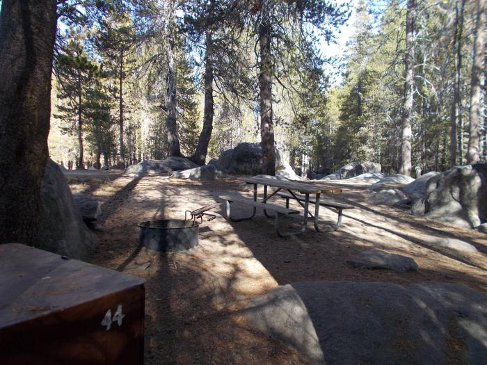 Food locker, picnic table, and fire ringSite 44