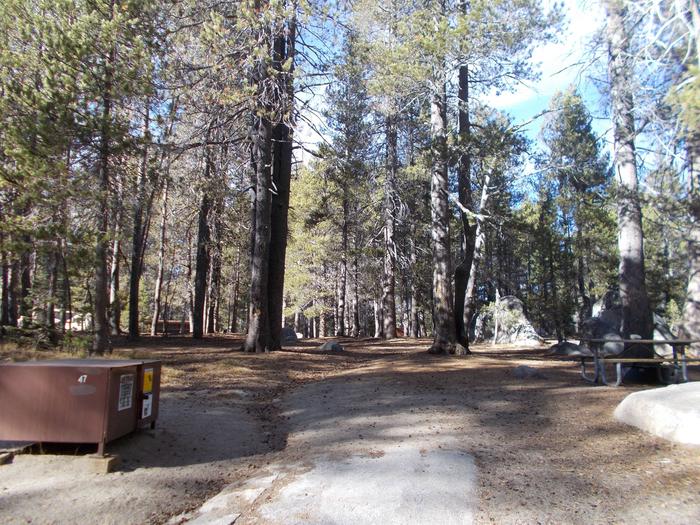 Food locker, picnic table, and fire ringSite 47