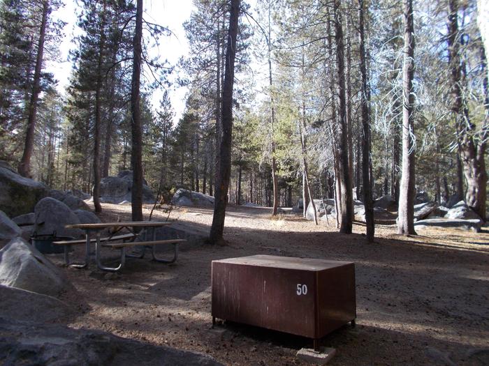 Food locker, picnic table, and fire ringSite 50