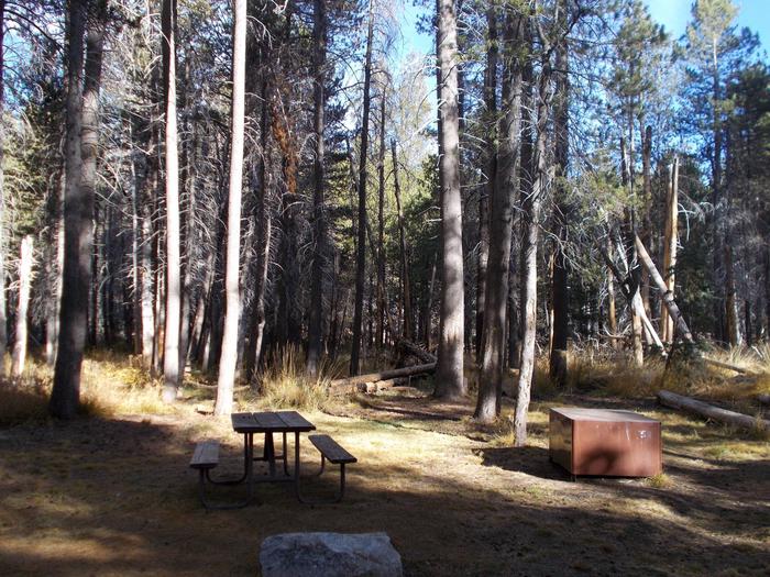 Food locker, picnic table, and fire ringSite 58