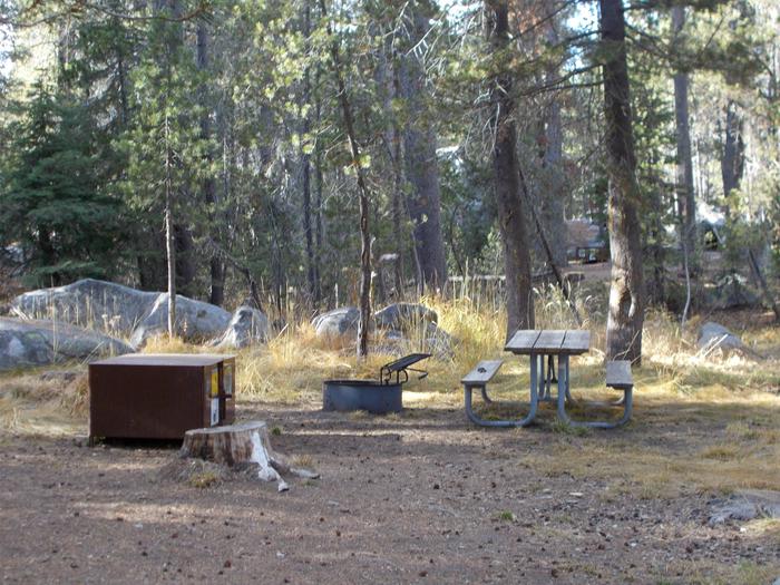 Food locker, picnic table, and fire ringSite 60