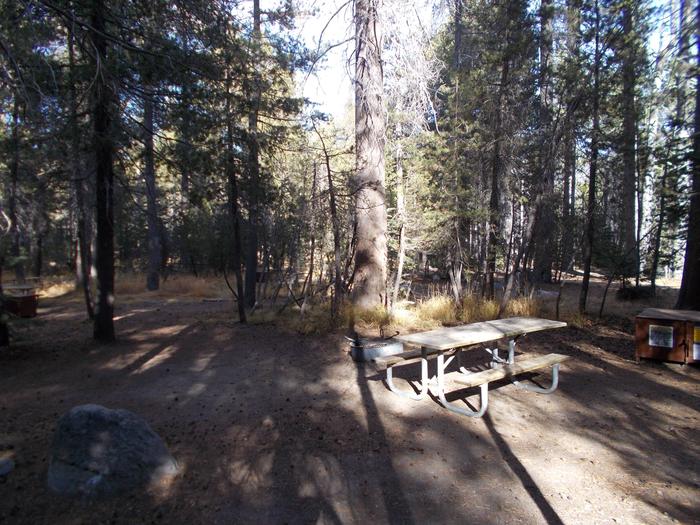 Food locker, picnic table, and fire ringSite 63