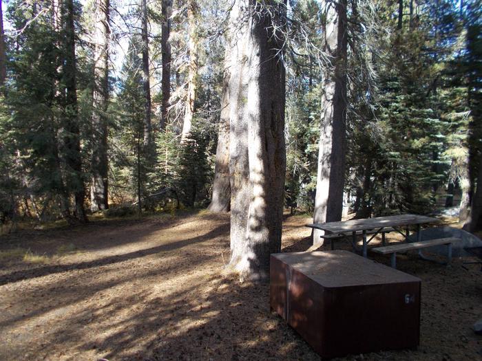 Food locker, picnic table, and fire ringSite 64