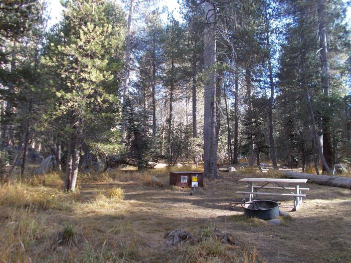 Food locker, picnic table, and fire ringSite 66