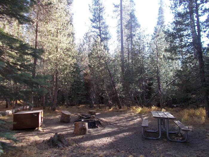 Food locker, picnic table, and fire ringSite 70