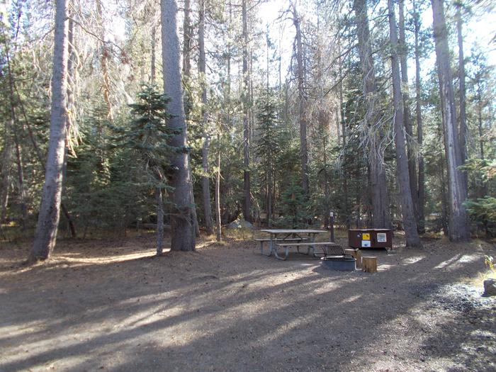 Food locker, picnic table, and fire ringSite 72