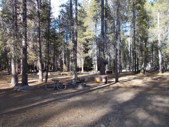 Food locker, picnic table, and fire ringSite 76