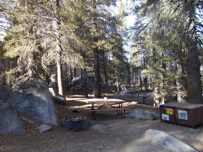 Food locker, picnic table, and fire ringSite 78