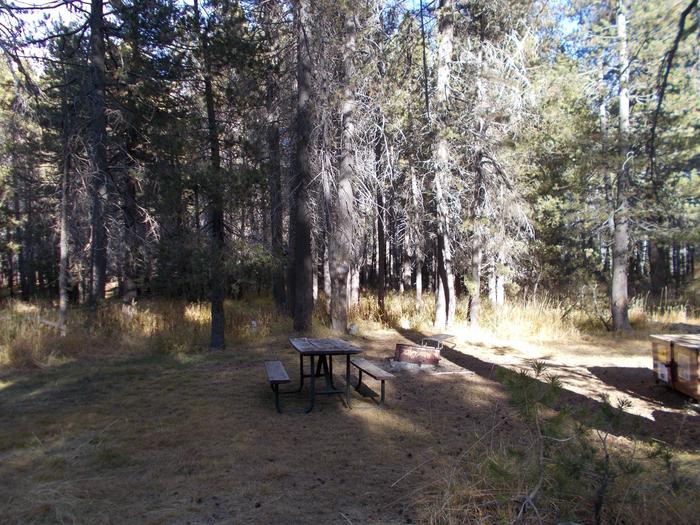 Food locker, picnic table, and fire ringSite 87
