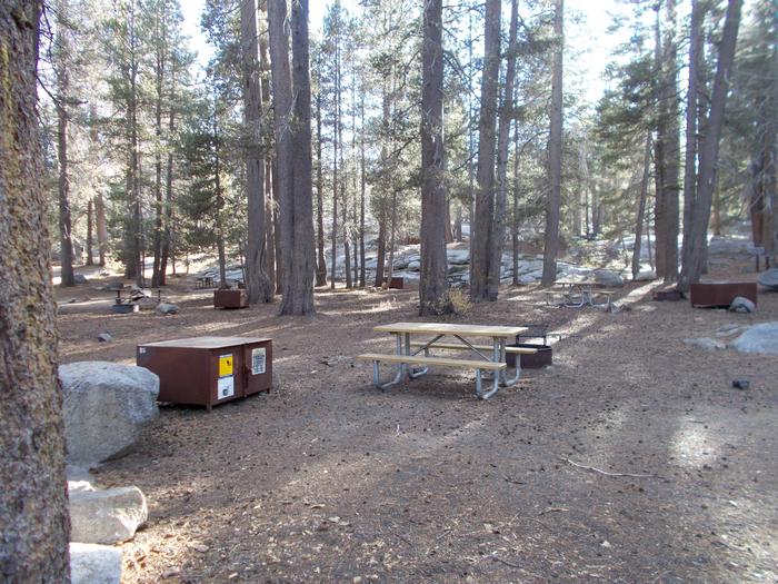 Food locker, picnic table, and fire ringSite 89