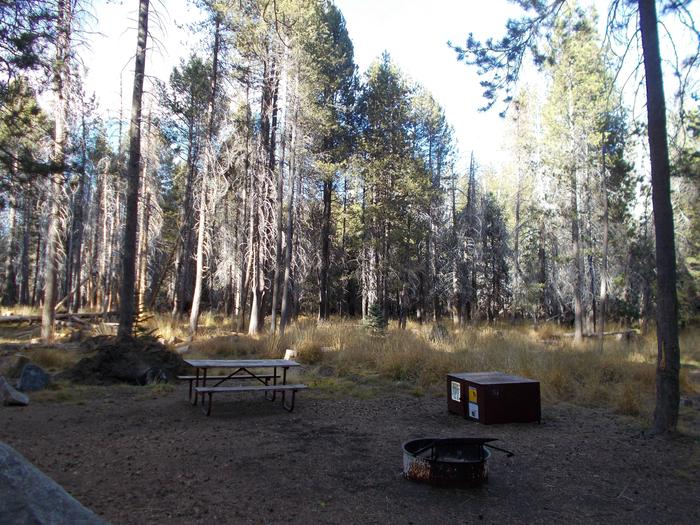 Food locker, picnic table, and fire ringSite 91