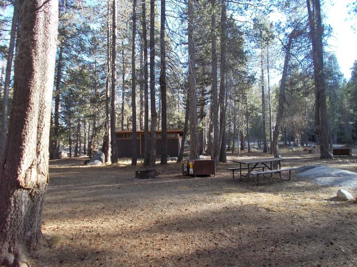 Food locker, picnic table, and fire ringSite 99