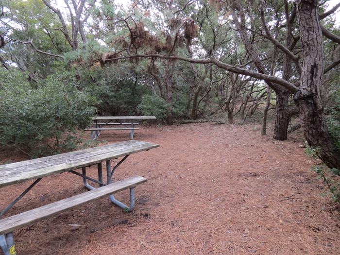 View of tent site/picnic tables